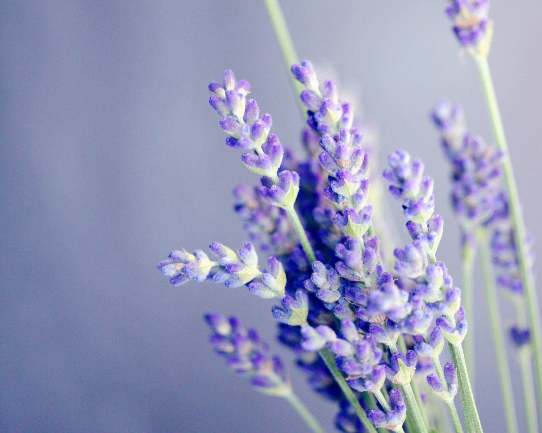 Mindfulness to reduce anxiety and depression, self-esteem, coping skills