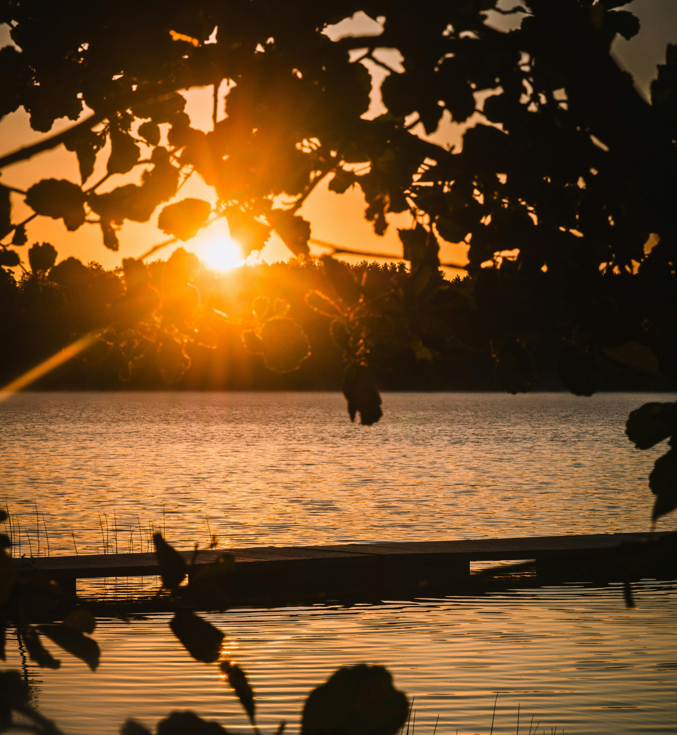 Mindfulness to reduce anxiety and depression, self-esteem, coping skills